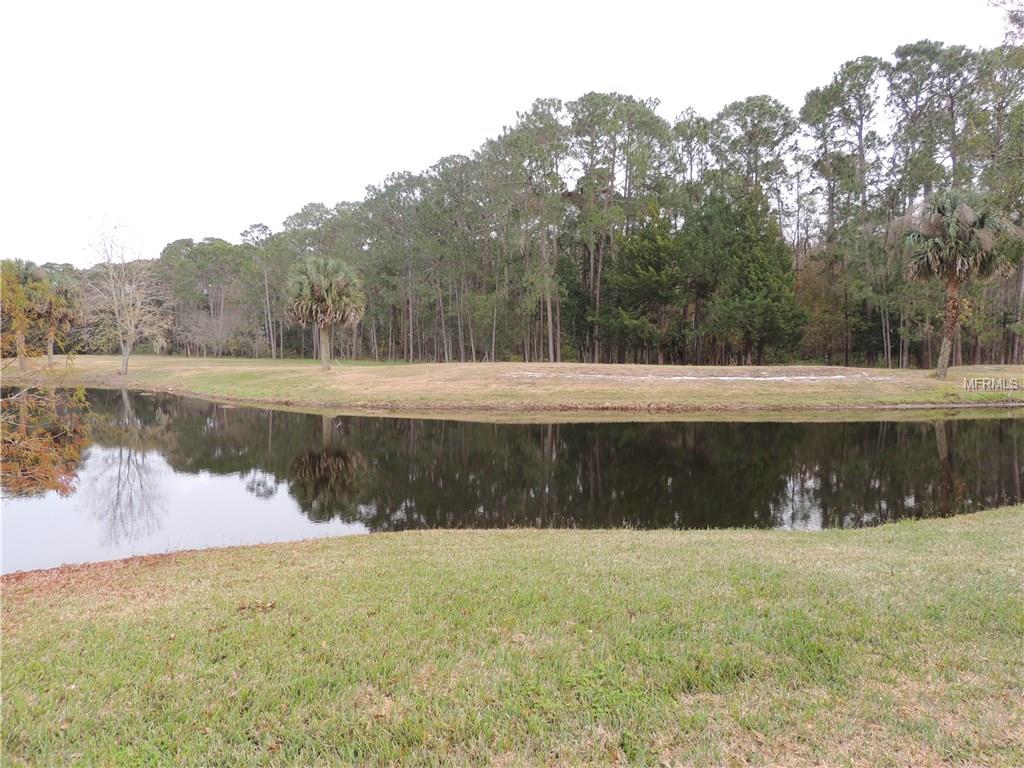 448 BAYTREE BOULEVARD, TAVARES, Florida 32778, 2 Bedrooms Bedrooms, 6 Rooms Rooms,2 BathroomsBathrooms,Residential,For sale,BAYTREE,G4851443