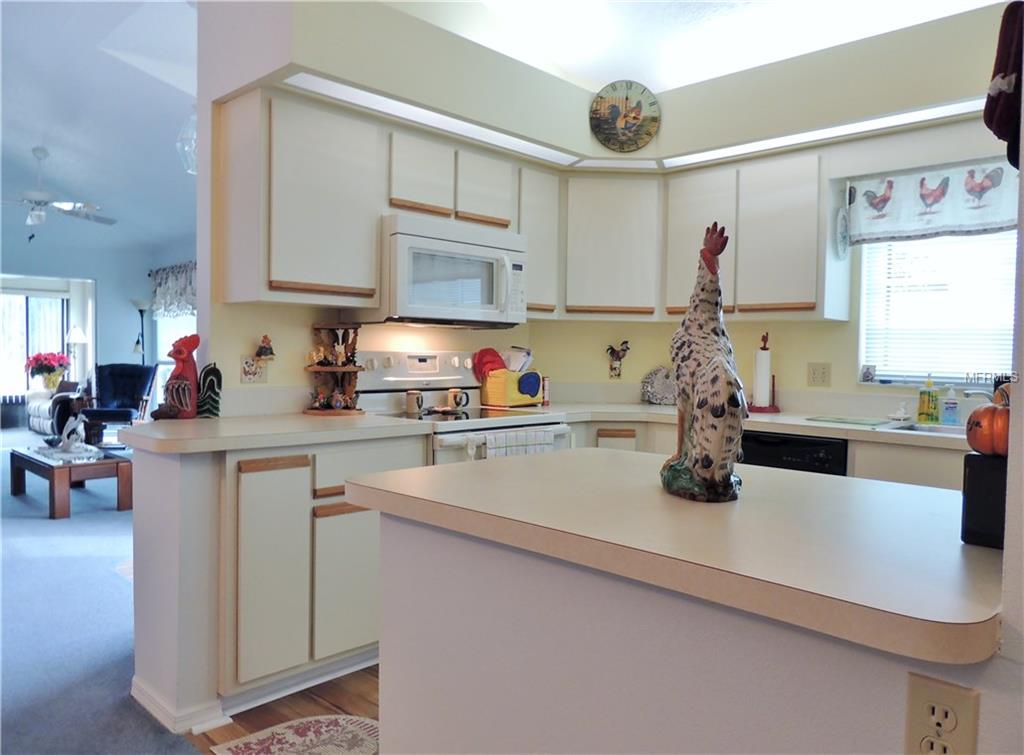 448 BAYTREE BOULEVARD, TAVARES, Florida 32778, 2 Bedrooms Bedrooms, 6 Rooms Rooms,2 BathroomsBathrooms,Residential,For sale,BAYTREE,G4851443