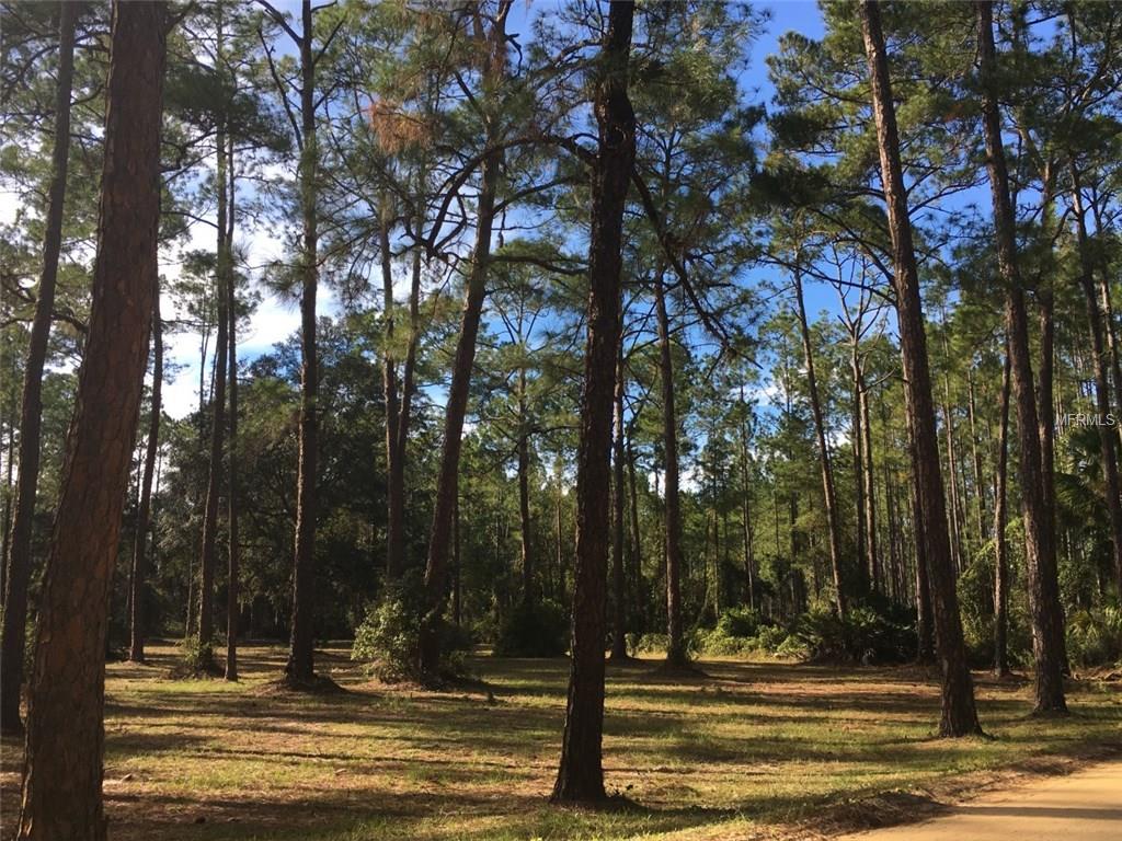 ASTOR, Florida 32102, 3 Bedrooms Bedrooms, 8 Rooms Rooms,2 BathroomsBathrooms,Residential,For sale,V4717415