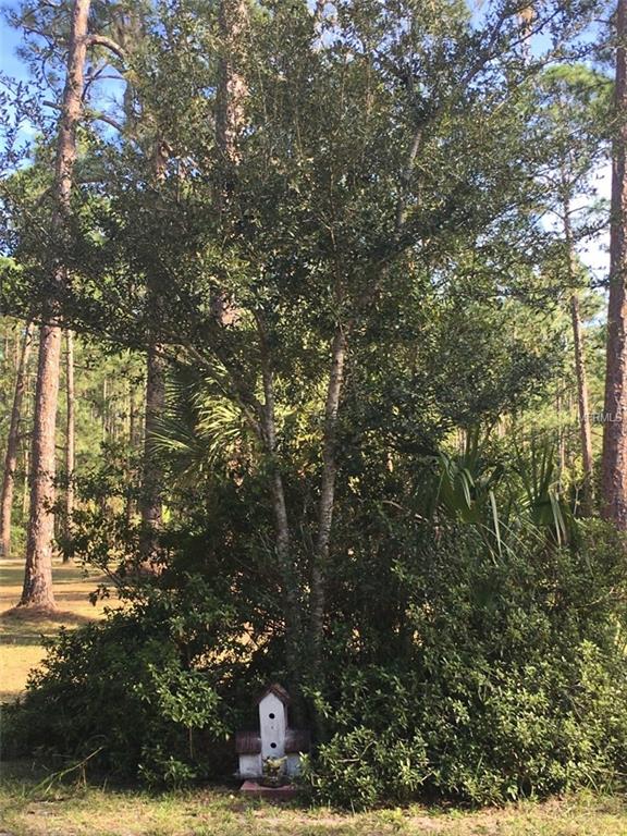 ASTOR, Florida 32102, 3 Bedrooms Bedrooms, 8 Rooms Rooms,2 BathroomsBathrooms,Residential,For sale,V4717415