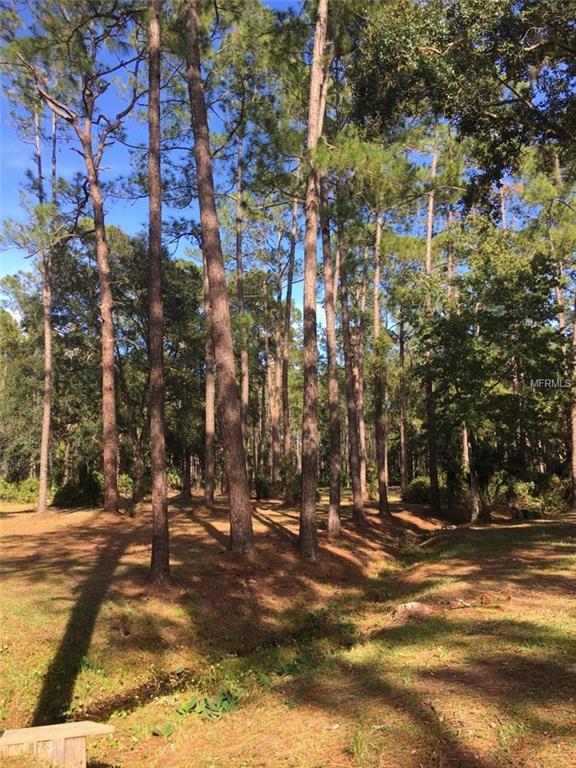 ASTOR, Florida 32102, 3 Bedrooms Bedrooms, 8 Rooms Rooms,2 BathroomsBathrooms,Residential,For sale,V4717415