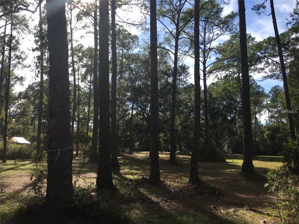 ASTOR, Florida 32102, 3 Bedrooms Bedrooms, 8 Rooms Rooms,2 BathroomsBathrooms,Residential,For sale,V4717415