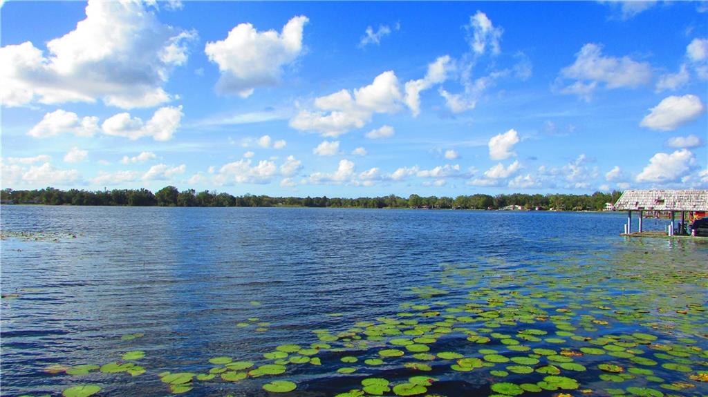 1905 TERRY LANE, TAMPA, Florida 33613, 4 Bedrooms Bedrooms, 3 Rooms Rooms,3 BathroomsBathrooms,Residential,For sale,TERRY,U7840940