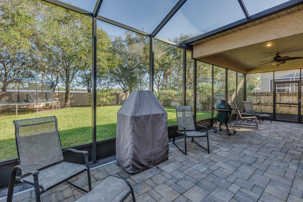 1609 GRAY BARK DRIVE, OLDSMAR, Florida 34677, 4 Bedrooms Bedrooms, 8 Rooms Rooms,2 BathroomsBathrooms,Residential,For sale,GRAY BARK,U7844970