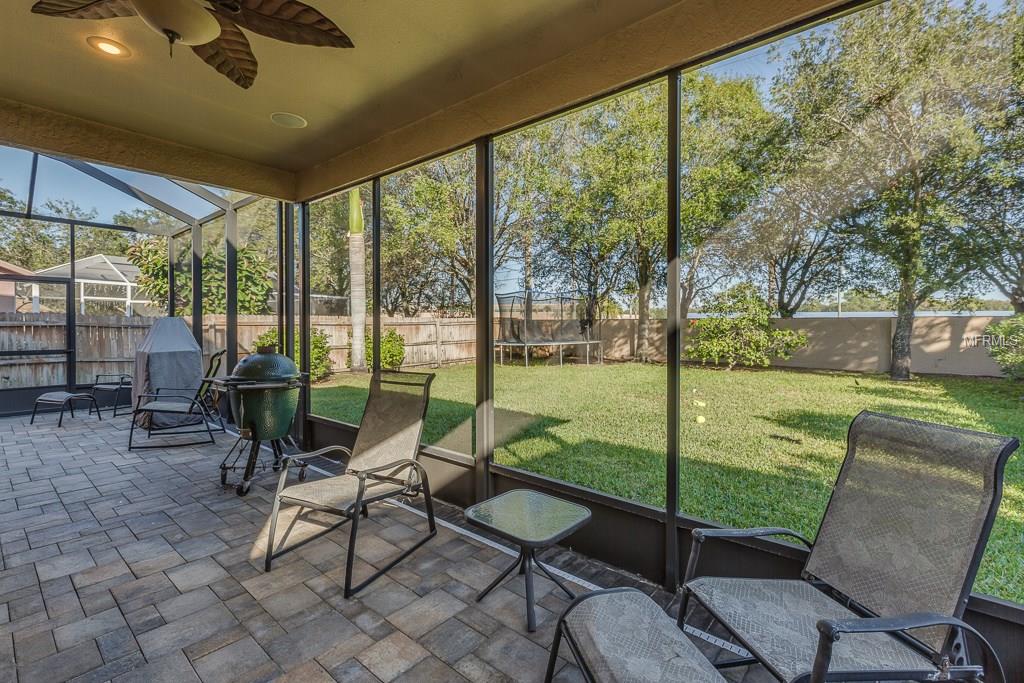 1609 GRAY BARK DRIVE, OLDSMAR, Florida 34677, 4 Bedrooms Bedrooms, 8 Rooms Rooms,2 BathroomsBathrooms,Residential,For sale,GRAY BARK,U7844970