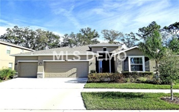 10430 RIVERDALE RISE DRIVE, RIVERVIEW, Florida 33578, 3 Bedrooms Bedrooms, 9 Rooms Rooms,3 BathroomsBathrooms,Residential,For sale,RIVERDALE RISE,T2927259