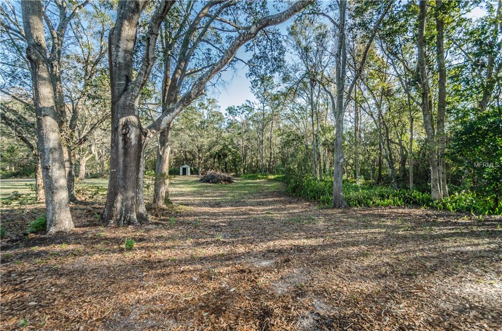 9441 STAR TRAIL, NEW PORT RICHEY, Florida 34654, 3 Bedrooms Bedrooms, 8 Rooms Rooms,2 BathroomsBathrooms,Residential,For sale,STAR,U7843643