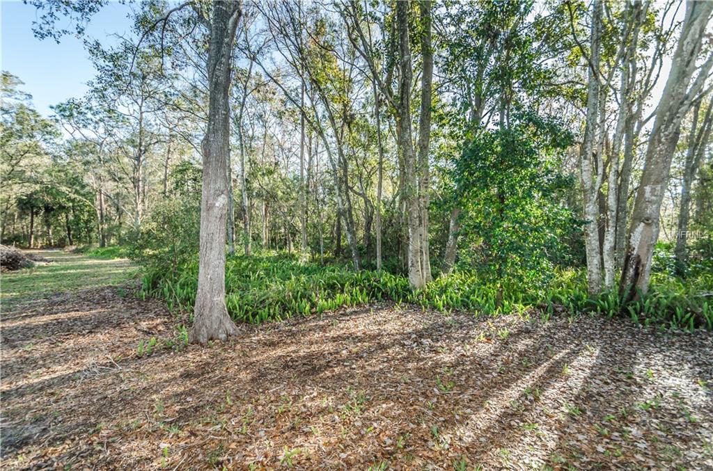 9441 STAR TRAIL, NEW PORT RICHEY, Florida 34654, 3 Bedrooms Bedrooms, 8 Rooms Rooms,2 BathroomsBathrooms,Residential,For sale,STAR,U7843643