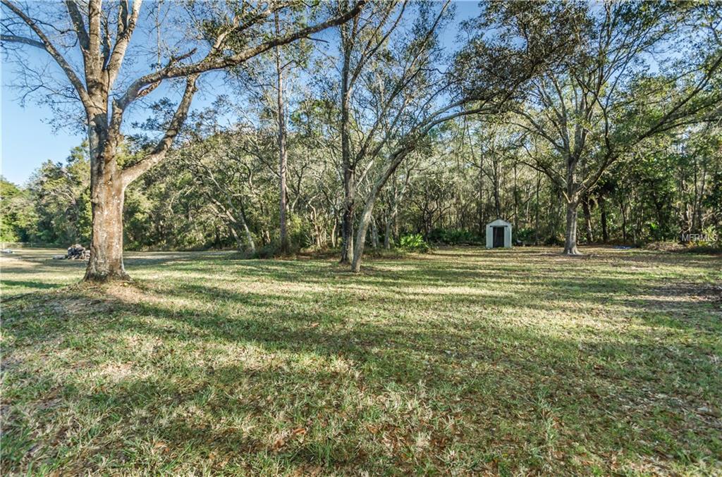 9441 STAR TRAIL, NEW PORT RICHEY, Florida 34654, 3 Bedrooms Bedrooms, 8 Rooms Rooms,2 BathroomsBathrooms,Residential,For sale,STAR,U7843643