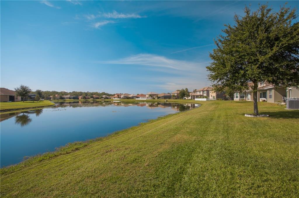 8858 NEW ALEXANDRIA LOOP, NEW PORT RICHEY, Florida 34654, 5 Bedrooms Bedrooms, 11 Rooms Rooms,4 BathroomsBathrooms,Residential,For sale,NEW ALEXANDRIA,U7838323