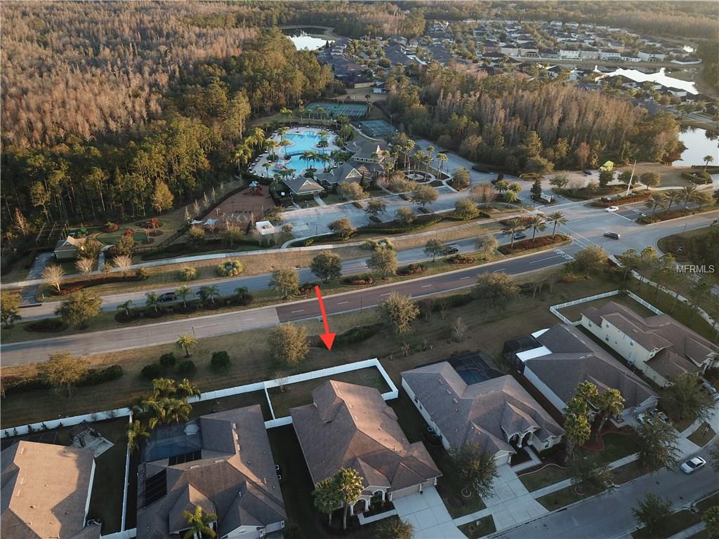 20607 LONGLEAF PINE AVENUE, TAMPA, Florida 33647, 4 Bedrooms Bedrooms, 9 Rooms Rooms,4 BathroomsBathrooms,Residential,For sale,LONGLEAF PINE,E2205662