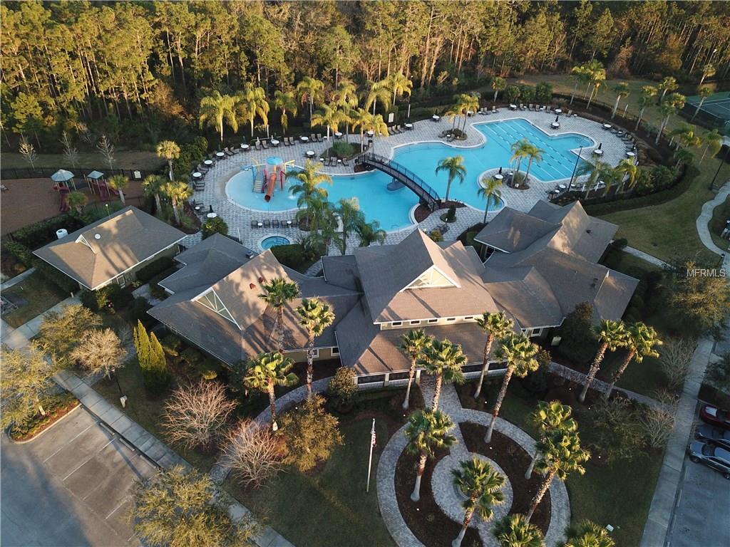 20607 LONGLEAF PINE AVENUE, TAMPA, Florida 33647, 4 Bedrooms Bedrooms, 9 Rooms Rooms,4 BathroomsBathrooms,Residential,For sale,LONGLEAF PINE,E2205662