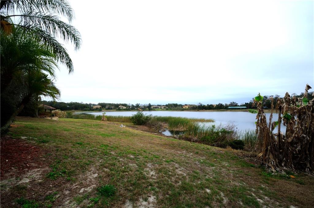 9162 LAKE FISCHER BOULEVARD, GOTHA, Florida 34734, 5 Bedrooms Bedrooms, 10 Rooms Rooms,4 BathroomsBathrooms,Residential,For sale,LAKE FISCHER,O5561893