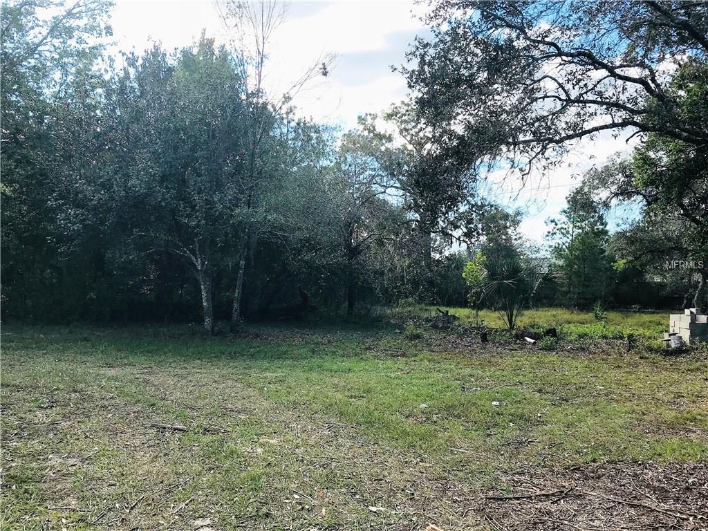 2185 MARBLE AVENUE, SPRING HILL, Florida 34609, 3 Bedrooms Bedrooms, 5 Rooms Rooms,2 BathroomsBathrooms,Residential,For sale,MARBLE,T2910609