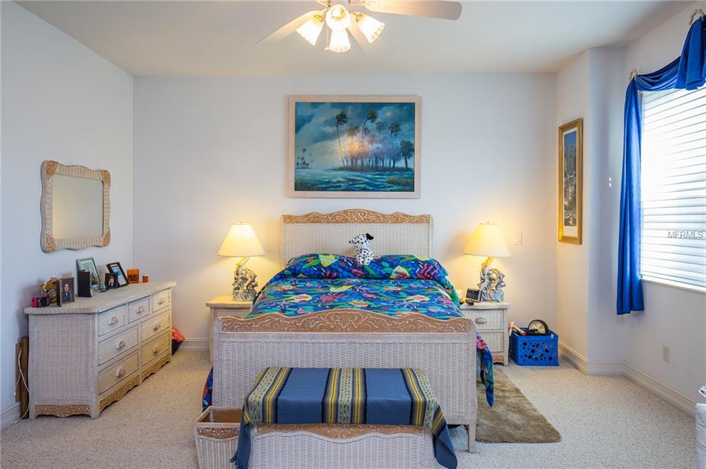 1383 RIBOLLA DRIVE, PALM HARBOR, Florida 34683, 3 Bedrooms Bedrooms, 7 Rooms Rooms,2 BathroomsBathrooms,Residential,For sale,RIBOLLA,U7842964