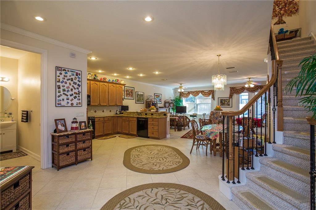 1383 RIBOLLA DRIVE, PALM HARBOR, Florida 34683, 3 Bedrooms Bedrooms, 7 Rooms Rooms,2 BathroomsBathrooms,Residential,For sale,RIBOLLA,U7842964