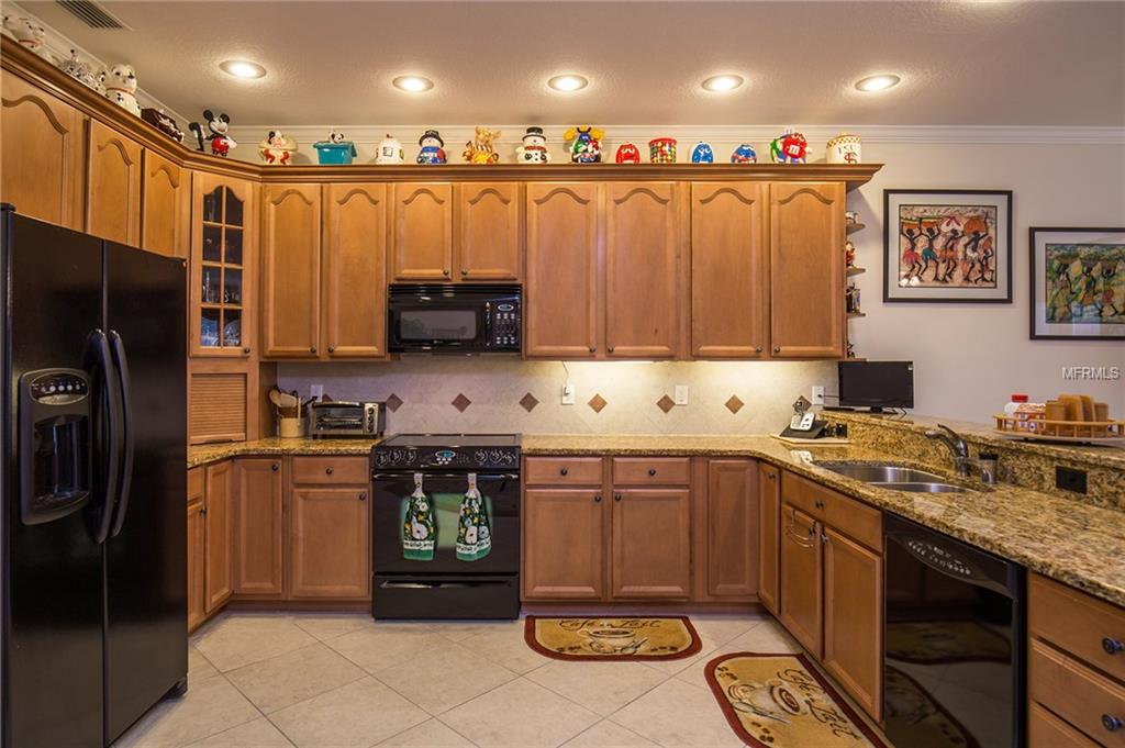 1383 RIBOLLA DRIVE, PALM HARBOR, Florida 34683, 3 Bedrooms Bedrooms, 7 Rooms Rooms,2 BathroomsBathrooms,Residential,For sale,RIBOLLA,U7842964