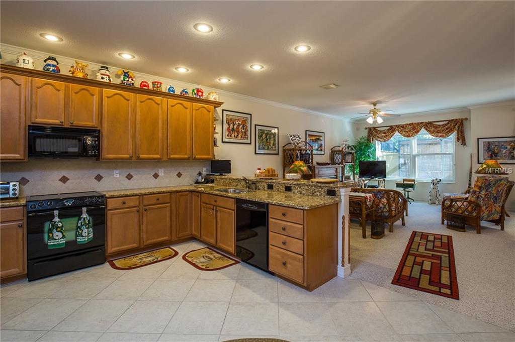 1383 RIBOLLA DRIVE, PALM HARBOR, Florida 34683, 3 Bedrooms Bedrooms, 7 Rooms Rooms,2 BathroomsBathrooms,Residential,For sale,RIBOLLA,U7842964