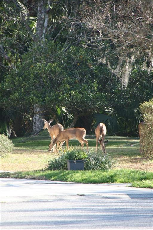 10409 COPPERWOOD DRIVE, NEW PORT RICHEY, Florida 34654, 4 Bedrooms Bedrooms, 6 Rooms Rooms,2 BathroomsBathrooms,Residential,For sale,COPPERWOOD,W7637409