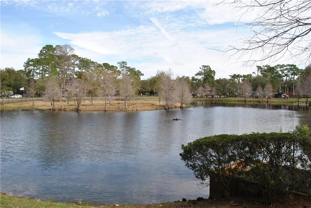 2139 CHIANTI PLACE, PALM HARBOR, Florida 34683, 2 Bedrooms Bedrooms, 4 Rooms Rooms,2 BathroomsBathrooms,Residential,For sale,CHIANTI,W7637833