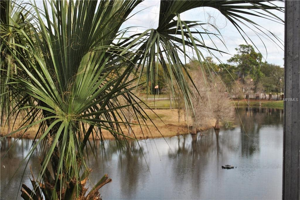 2139 CHIANTI PLACE, PALM HARBOR, Florida 34683, 2 Bedrooms Bedrooms, 4 Rooms Rooms,2 BathroomsBathrooms,Residential,For sale,CHIANTI,W7637833