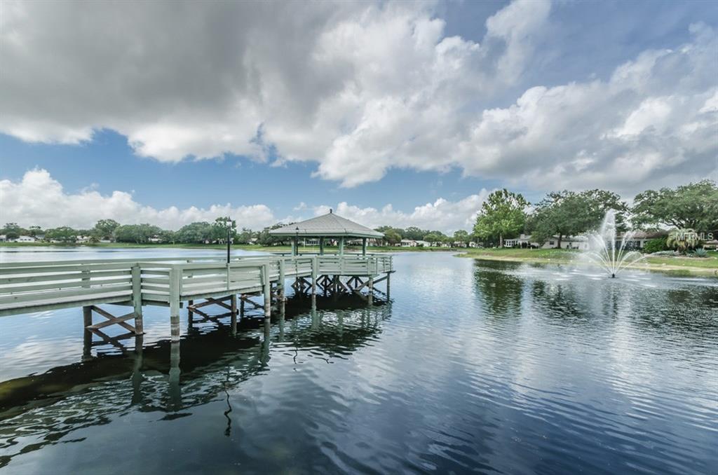 11020 LINKSIDE DRIVE, PORT RICHEY, Florida 34668, 2 Bedrooms Bedrooms, 5 Rooms Rooms,2 BathroomsBathrooms,Residential,For sale,LINKSIDE,W7636303