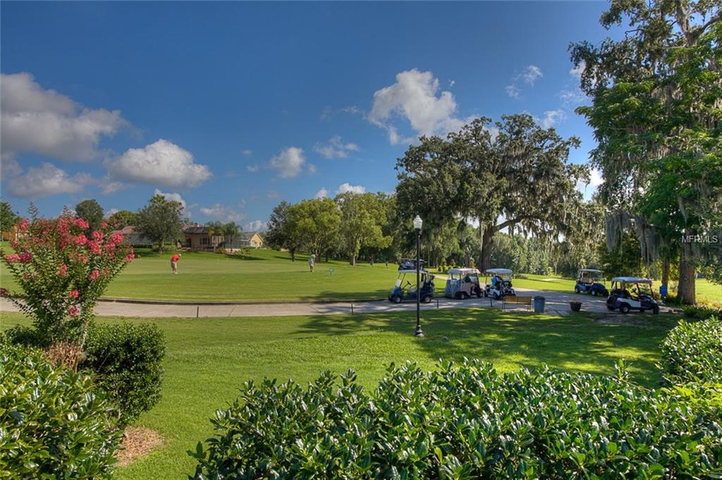 12410 WOODLANDS CIRCLE, DADE CITY, Florida 33525, 2 Bedrooms Bedrooms, 9 Rooms Rooms,2 BathroomsBathrooms,Residential,For sale,WOODLANDS,E2205535