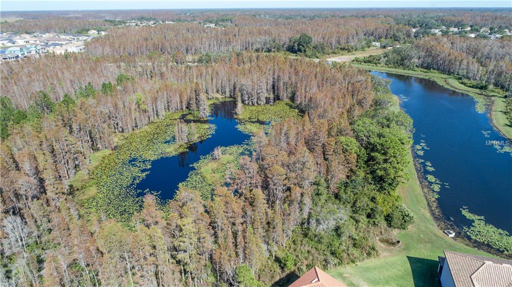 3814 WELLINGBOROUGH COURT, LAND O LAKES, Florida 34638, 4 Bedrooms Bedrooms, 8 Rooms Rooms,3 BathroomsBathrooms,Residential,For sale,WELLINGBOROUGH,T2913623