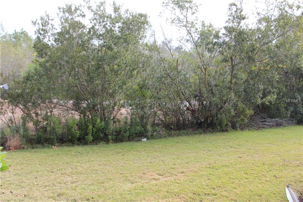 831 ASSEMBLY COURT, REUNION, Florida 34747, 3 Bedrooms Bedrooms, 6 Rooms Rooms,2 BathroomsBathrooms,Residential,For sale,ASSEMBLY,O5555573