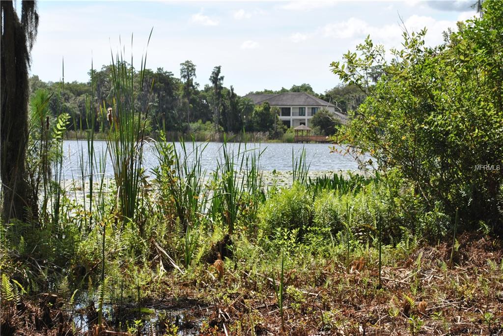 8103 N MOBLEY ROAD, ODESSA, Florida 33556, 4 Bedrooms Bedrooms, 6 Rooms Rooms,2 BathroomsBathrooms,Residential,For sale,MOBLEY,W7631862