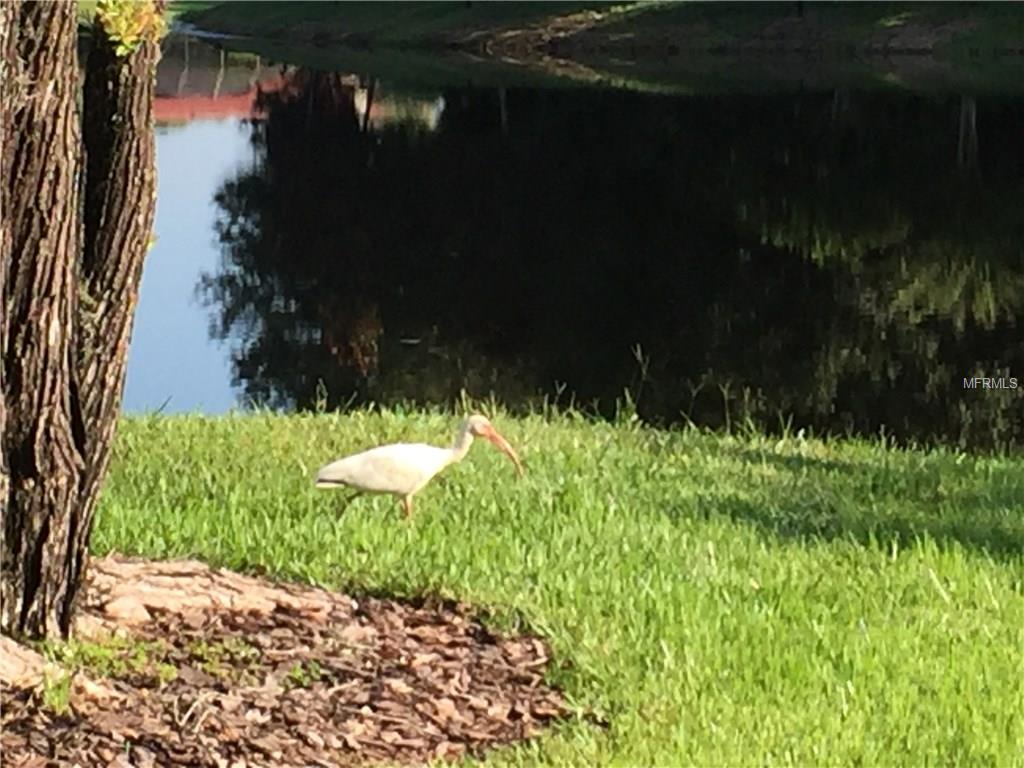 1398 SHADY PINE WAY, TARPON SPRINGS, Florida 34688, 2 Bedrooms Bedrooms, 5 Rooms Rooms,2 BathroomsBathrooms,Residential,For sale,SHADY PINE,U7846840