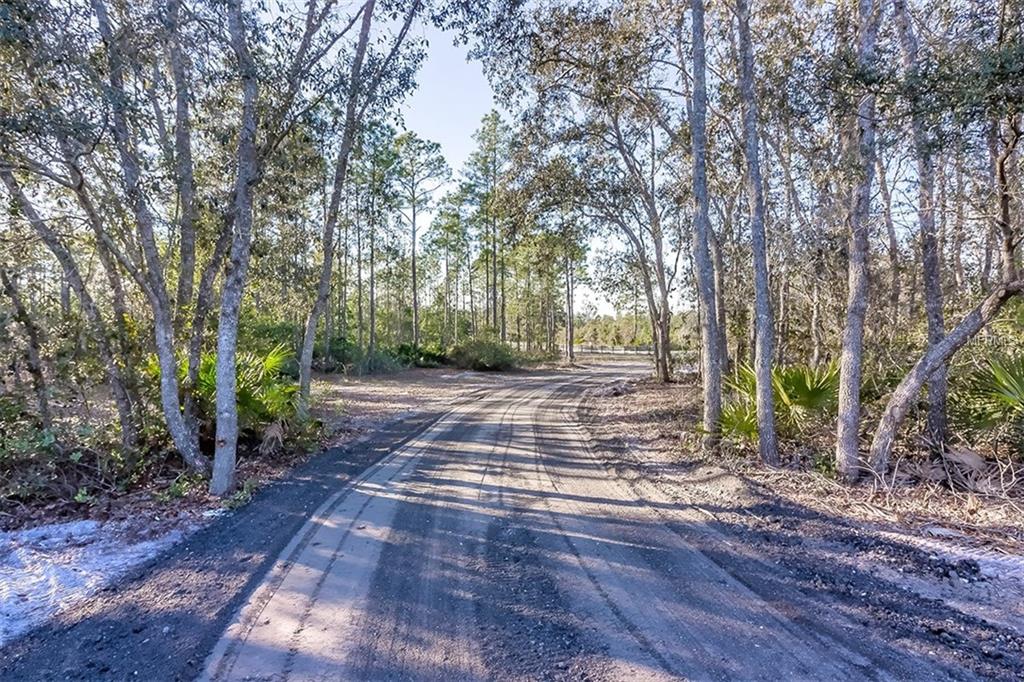 1475 BLACK BEAR RANCH, PIERSON, Florida 32180, 4 Bedrooms Bedrooms, 7 Rooms Rooms,3 BathroomsBathrooms,Residential,For sale,BLACK BEAR RANCH,V4722902