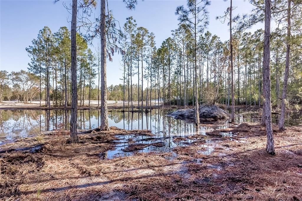 1475 BLACK BEAR RANCH, PIERSON, Florida 32180, 4 Bedrooms Bedrooms, 7 Rooms Rooms,3 BathroomsBathrooms,Residential,For sale,BLACK BEAR RANCH,V4722902