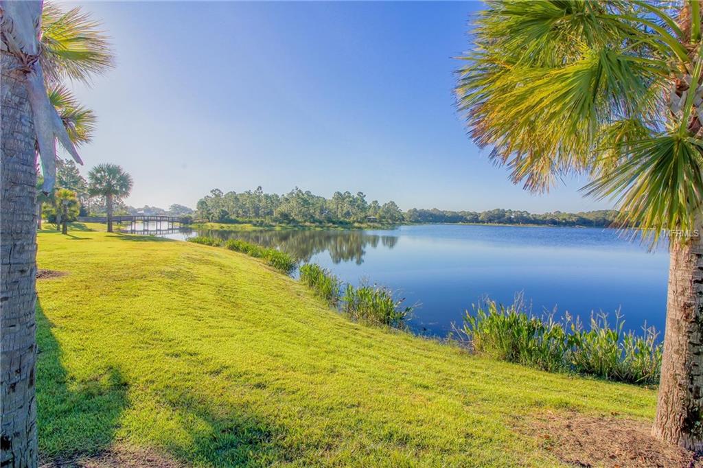 12591 SAGEWOOD DRIVE, VENICE, Florida 34293, 3 Bedrooms Bedrooms, 6 Rooms Rooms,2 BathroomsBathrooms,Residential,For sale,SAGEWOOD,A4209316