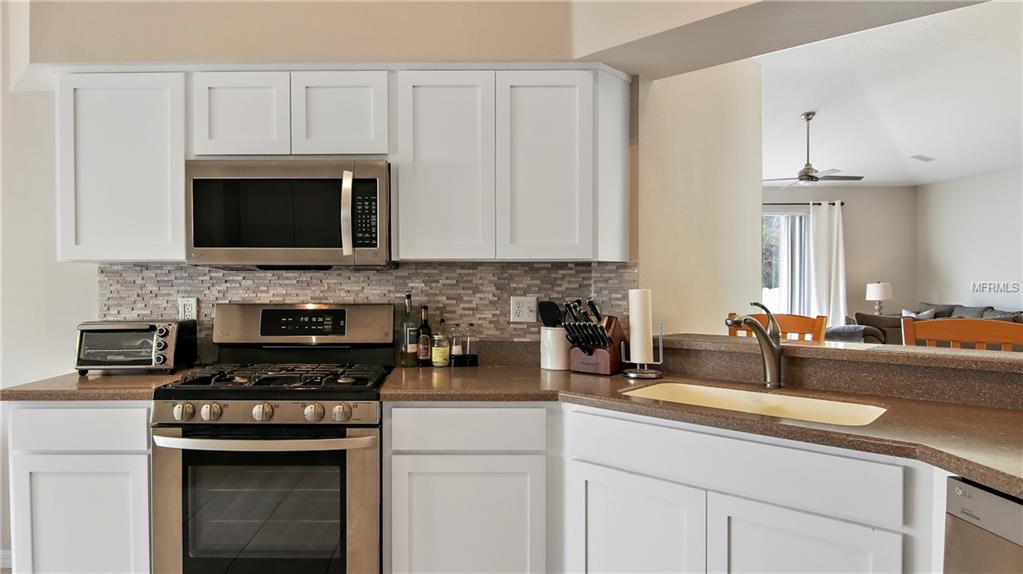 29544 OX EYE COURT, WESLEY CHAPEL, Florida 33543, 3 Bedrooms Bedrooms, 3 Rooms Rooms,2 BathroomsBathrooms,Residential,For sale,OX EYE,U7847236