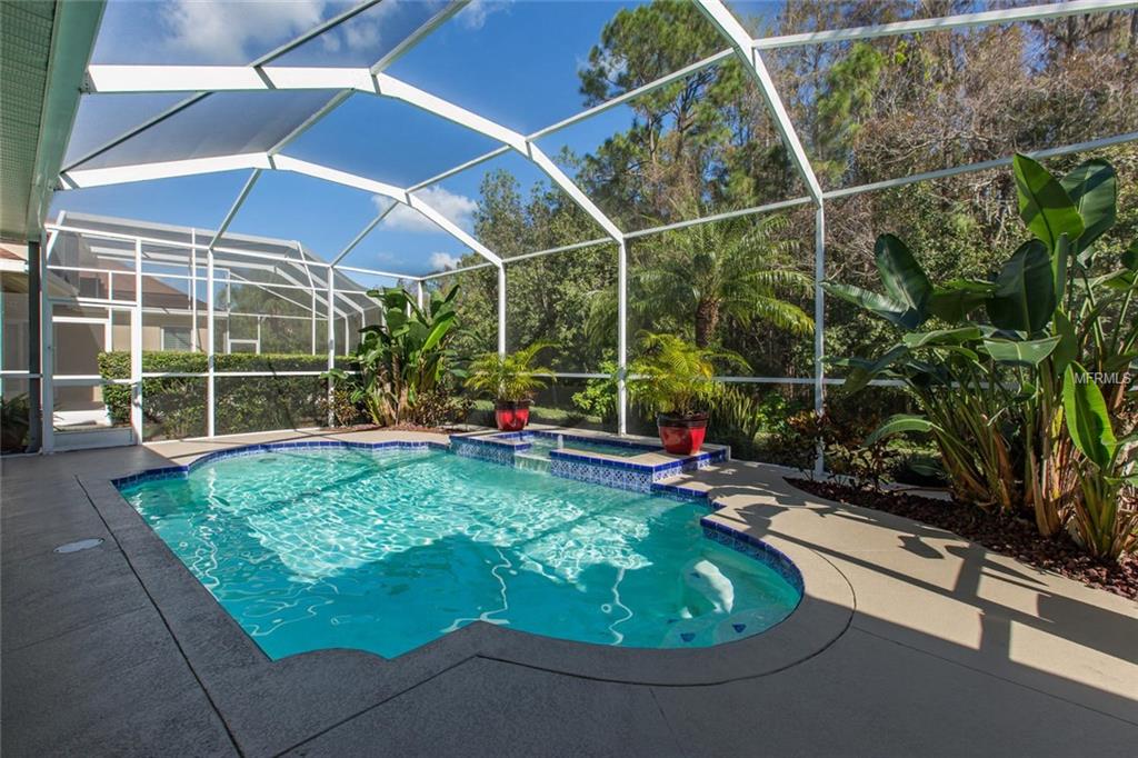 11317 MINARET DRIVE, TAMPA, Florida 33626, 4 Bedrooms Bedrooms, 11 Rooms Rooms,3 BathroomsBathrooms,Residential,For sale,MINARET,W7635645