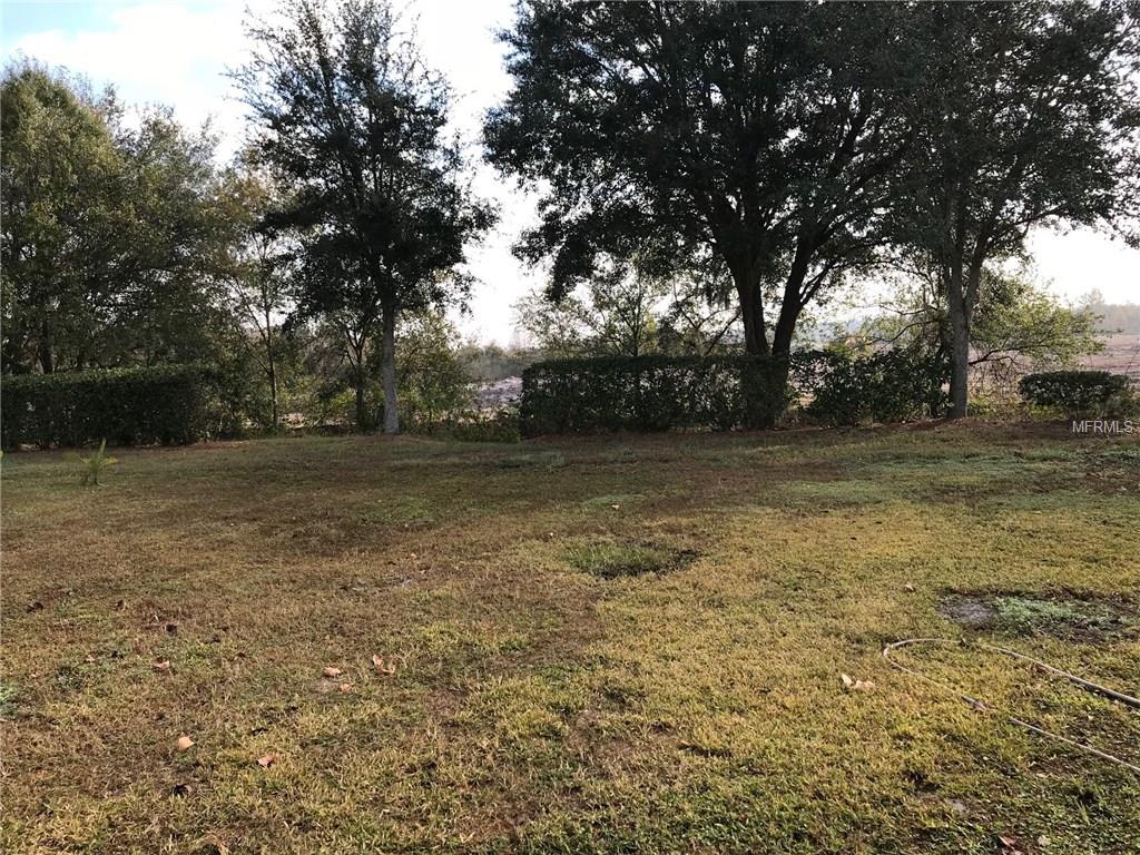 7334 PARKERSBURG DRIVE, WESLEY CHAPEL, Florida 33545, 4 Bedrooms Bedrooms, 4 Rooms Rooms,3 BathroomsBathrooms,Residential,For sale,PARKERSBURG,T2919694