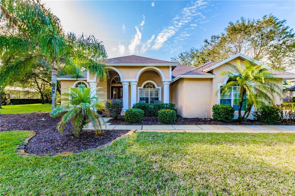17709 SIMMS ROAD, ODESSA, Florida 33556, 5 Bedrooms Bedrooms, 9 Rooms Rooms,3 BathroomsBathrooms,Residential,For sale,SIMMS,T2926884