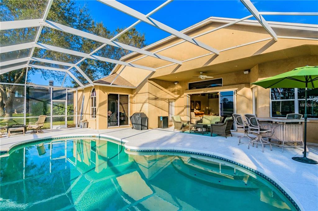 17709 SIMMS ROAD, ODESSA, Florida 33556, 5 Bedrooms Bedrooms, 9 Rooms Rooms,3 BathroomsBathrooms,Residential,For sale,SIMMS,T2926884