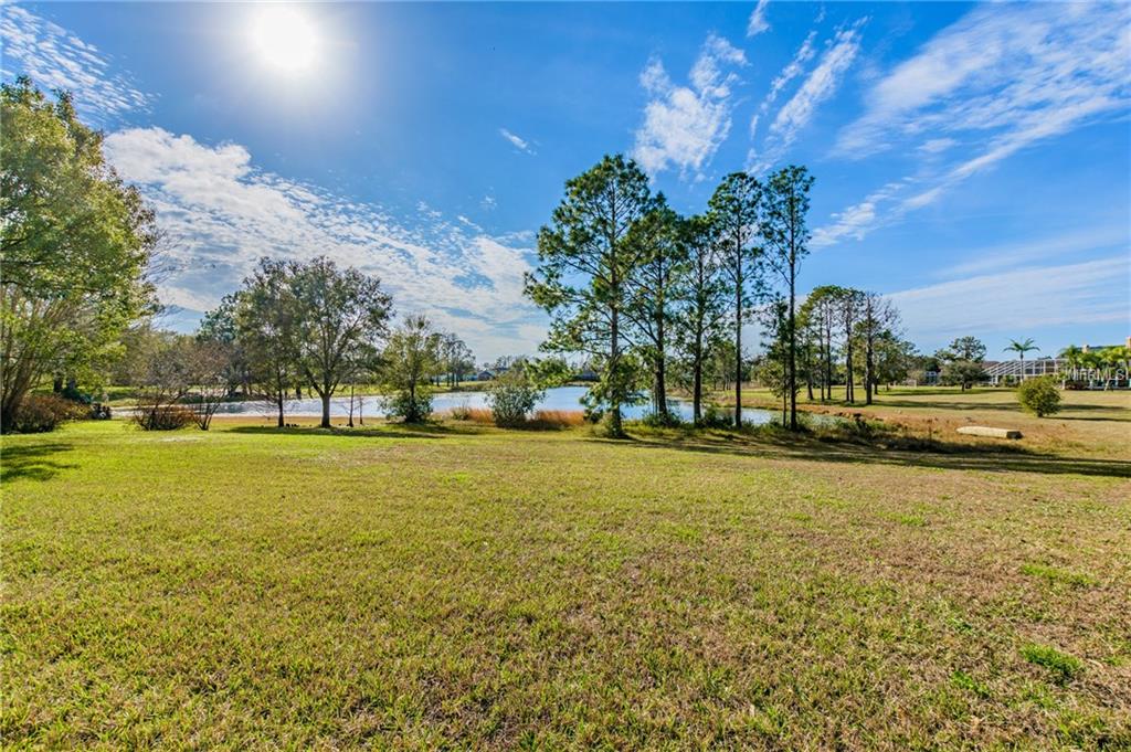 17709 SIMMS ROAD, ODESSA, Florida 33556, 5 Bedrooms Bedrooms, 9 Rooms Rooms,3 BathroomsBathrooms,Residential,For sale,SIMMS,T2926884
