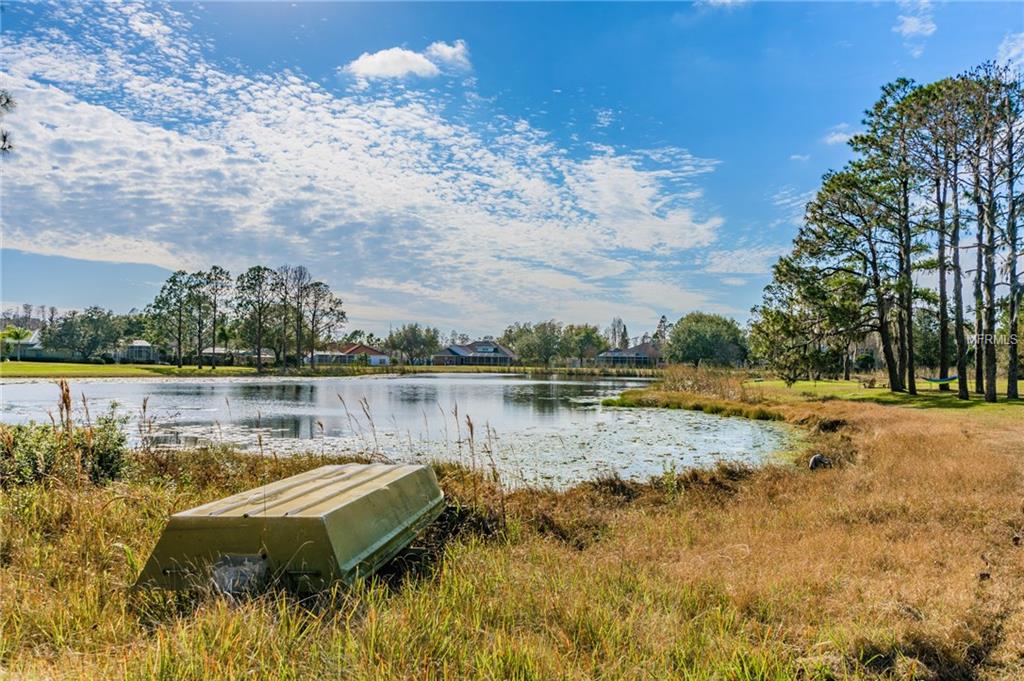 17709 SIMMS ROAD, ODESSA, Florida 33556, 5 Bedrooms Bedrooms, 9 Rooms Rooms,3 BathroomsBathrooms,Residential,For sale,SIMMS,T2926884
