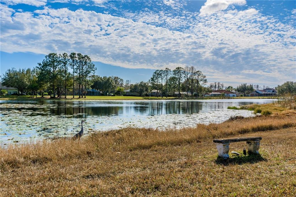 17709 SIMMS ROAD, ODESSA, Florida 33556, 5 Bedrooms Bedrooms, 9 Rooms Rooms,3 BathroomsBathrooms,Residential,For sale,SIMMS,T2926884