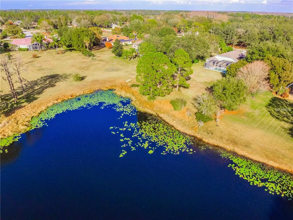 17709 SIMMS ROAD, ODESSA, Florida 33556, 5 Bedrooms Bedrooms, 9 Rooms Rooms,3 BathroomsBathrooms,Residential,For sale,SIMMS,T2926884