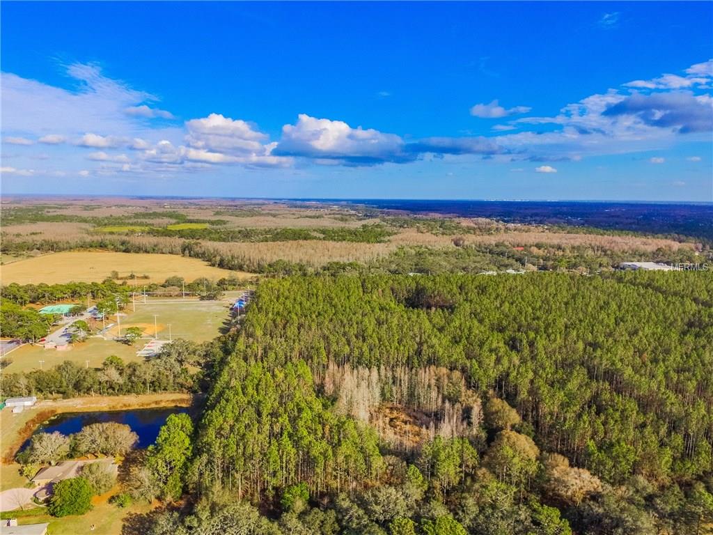 17709 SIMMS ROAD, ODESSA, Florida 33556, 5 Bedrooms Bedrooms, 9 Rooms Rooms,3 BathroomsBathrooms,Residential,For sale,SIMMS,T2926884