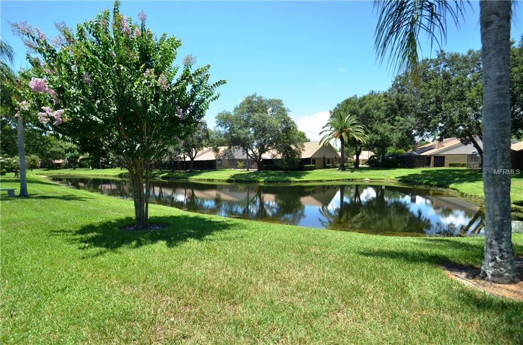 5539 SALEM SQUARE DRIVE S, PALM HARBOR, Florida 34685, 2 Bedrooms Bedrooms, 6 Rooms Rooms,2 BathroomsBathrooms,Residential,For sale,SALEM SQUARE,U7845531