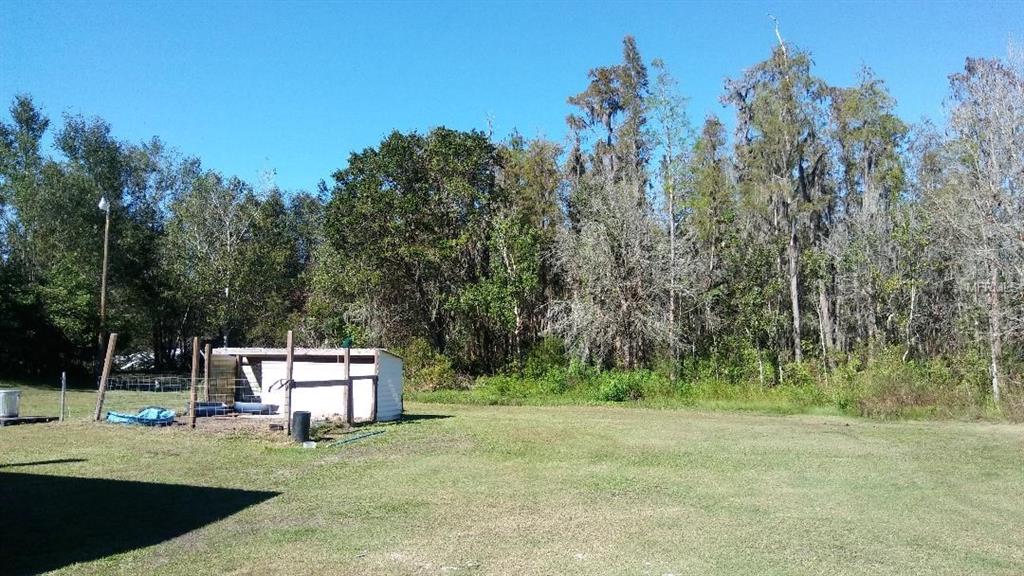 4238 COYOTE TRAIL, POLK CITY, Florida 33868, 3 Bedrooms Bedrooms, 5 Rooms Rooms,2 BathroomsBathrooms,Residential,For sale,COYOTE,P4717746