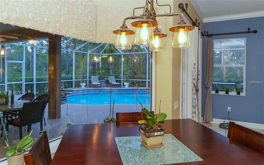 24509 83RD AVENUE E, MYAKKA CITY, Florida 34251, 4 Bedrooms Bedrooms, 11 Rooms Rooms,4 BathroomsBathrooms,Residential,For sale,83RD,A4209716