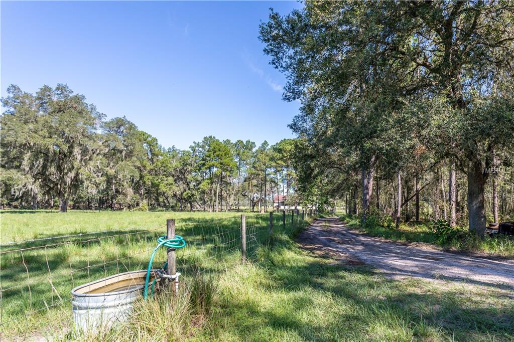 22236 MIZELL ROAD, BROOKSVILLE, Florida 34602, 3 Bedrooms Bedrooms, 6 Rooms Rooms,2 BathroomsBathrooms,Residential,For sale,MIZELL,W7634198