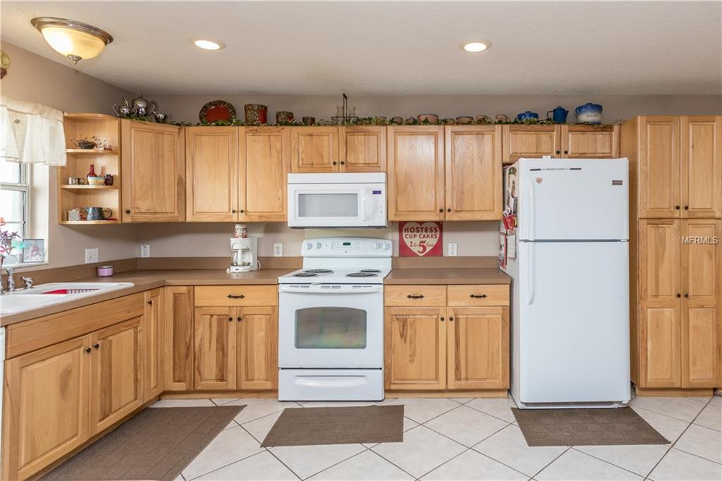 22236 MIZELL ROAD, BROOKSVILLE, Florida 34602, 3 Bedrooms Bedrooms, 6 Rooms Rooms,2 BathroomsBathrooms,Residential,For sale,MIZELL,W7634198