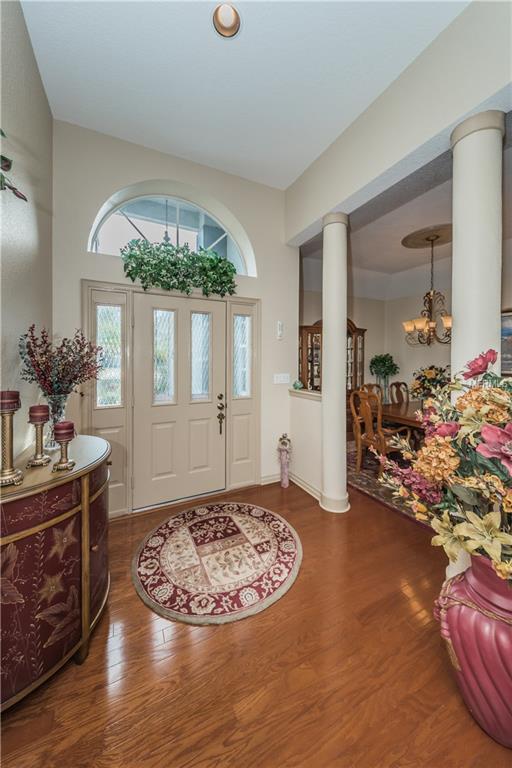 PALM HARBOR, Florida 34685, 2 Bedrooms Bedrooms, 5 Rooms Rooms,2 BathroomsBathrooms,Residential,For sale,U7846314